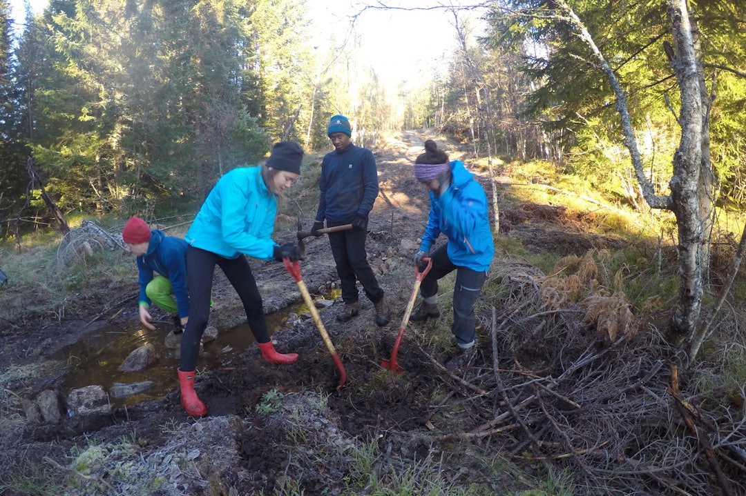 Det tar alltid lenger tid enn man tror, og elevene ved Nordfjord Folkehøgskule har brukt hele høsten på en knapp kilometer sti. Foto: Tord Hafnor Nordfjord Folkehøgskule - trail crew - Foto Tord Hafnor 1400x933