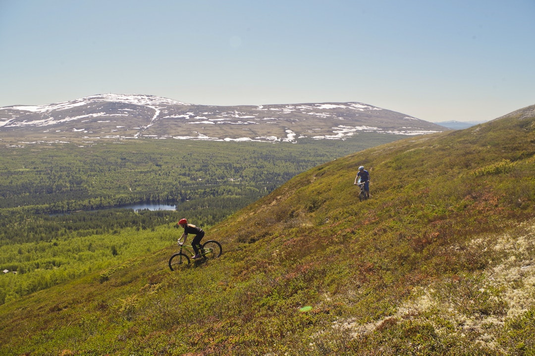 Selv om mye av løypa er grusveg og seterveg, er det mange stier å prøve seg på for de som vil ta en avstikker. Foto: Rørosregionen IMGP1835_1. 1400x933