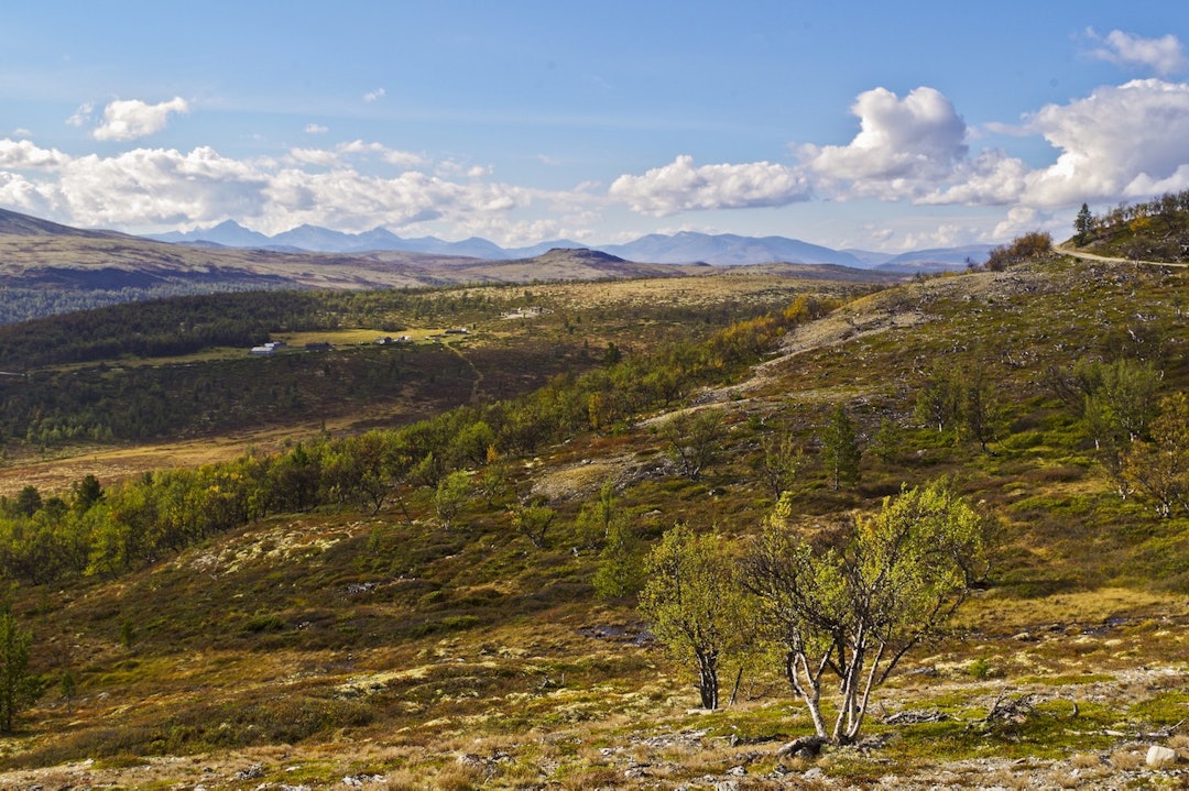 Savalan-Grimsbu-Alvdal Foto Rørosregionen 1400x933