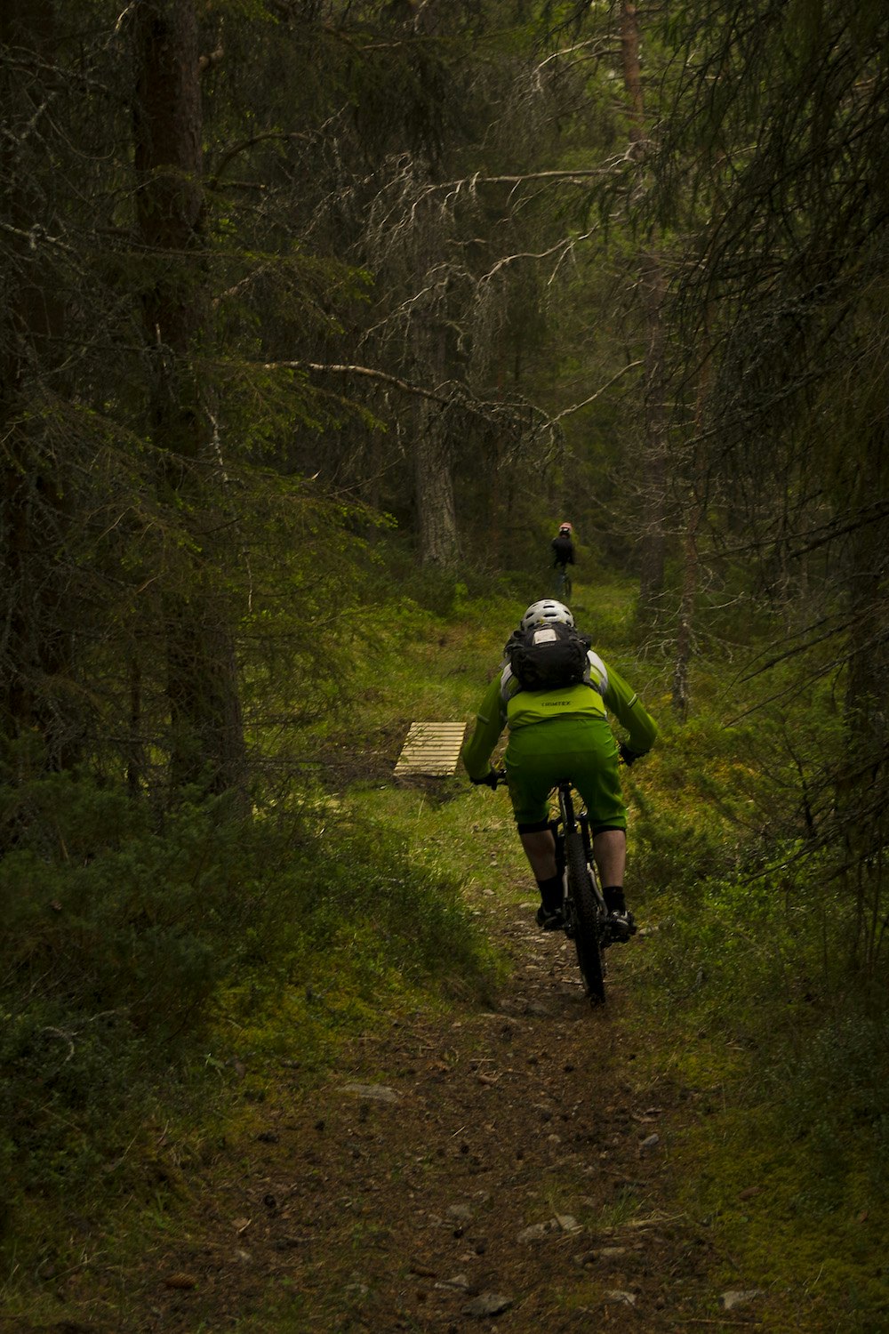Mange av stiene i Nord-Østerdalen er av den episke sorten med furunålsbunn og relativt lite knot. Foto: Rørosregionen Syklorama_33 1000x1500