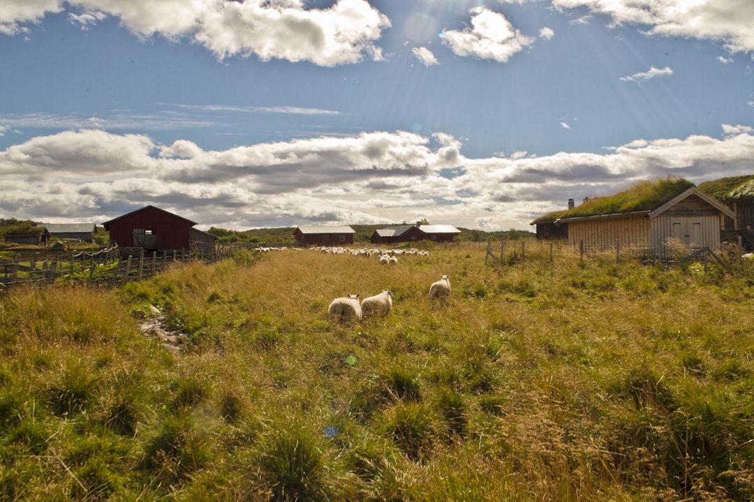 Fra Magnilldalen mot Vingelen. Foto:Rørosregionen Vingelen-magnhildalen Foto Rørosregionen 1400x933