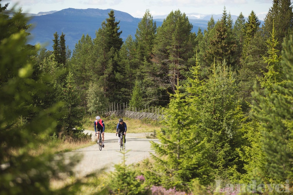 SKILLE: Peer Gynt Seterveg går gradvis over fra asfalt til grus. Stigningen inneholder jorder, beitemarker og øde fjell. SKILLE: Peer Gynt Seterveg går gradvis over fra asfalt til grus. Stigningen inneholder jorder, beitemarker og øde fjell.