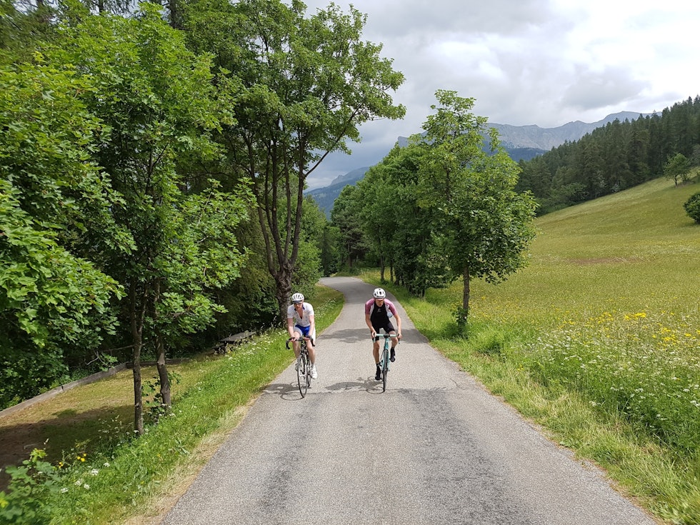 PUST OG PES: Mellom løvskog og lerkeskog på Col des Champs er det vide serpentinsvinger og beitemarker å slite seg oppover i. Foto: Lars Lundby champsbeite-40