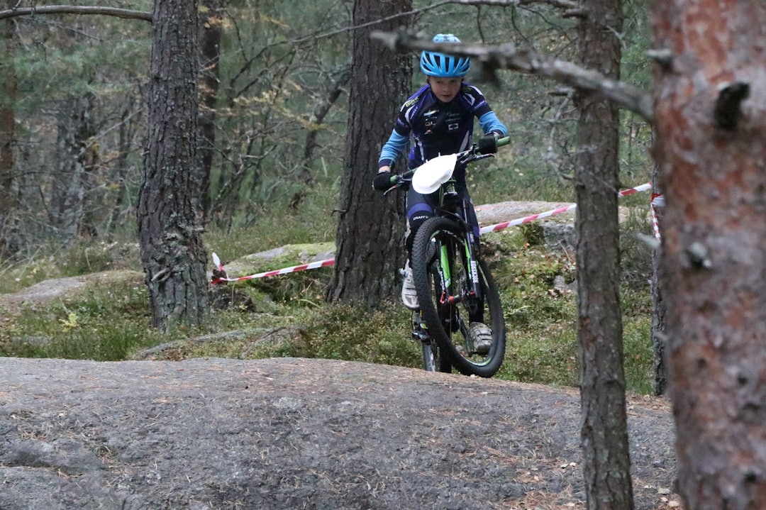 Stor stas i skogen. Foto: Ronny Skjellum deør Challenge 2016 - Ronny Skjellum 1