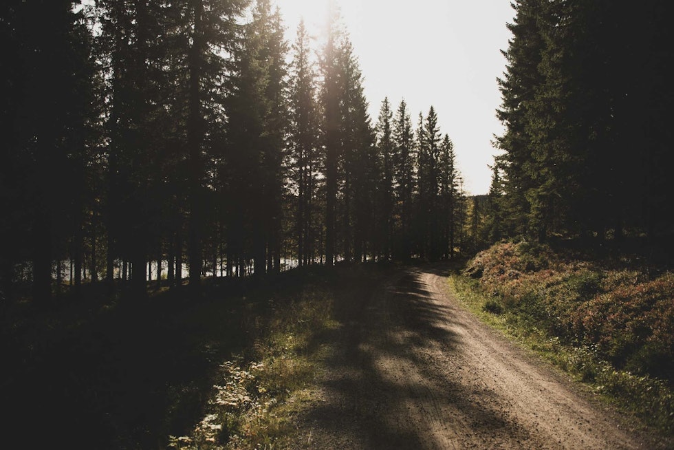 IDYLL: Veien langs Storflåtan før du begynner på klatringen opp til Høgåsen. Foto: Henrik Alpers. sykle gravel grus i nordmarka