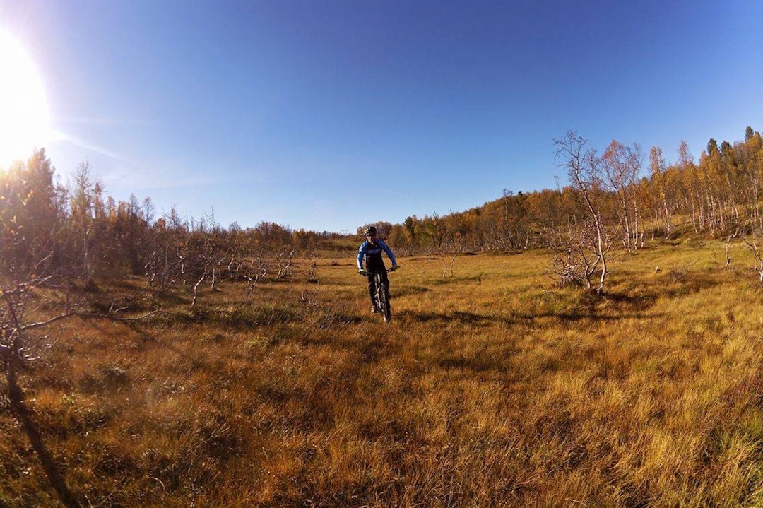 Geir Orrestad på myra - Vardaheii - Fall 2016 - Hildegunn Gjertrud Hovdenak 1400x933