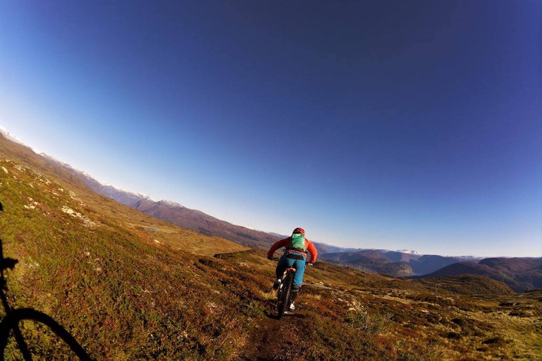 Hildegunn Gjertrud Hovdenak på Nuken. Foto: Erik Stedje Fall 2016 - Hildegunn Gjertrud Hovdenak Nuken foto erik Stedje  1400x933