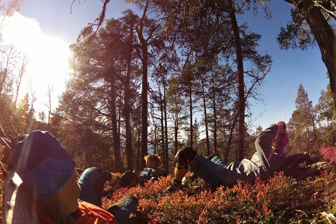 Pause i lyngen er av livets små og store gleder, og slikt er det tid til i oktober. Foto: Hildegunn Gjertrud Hovdenak Pause Fall 2016 - Hildegunn Gjertrud Hovdenak 1400x933