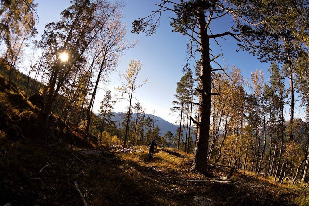 Foto: Hildegunn Gjertrud Hovdenak Trails Fall 2016 - Hildegunn Gjertrud Hovdenak 1400x933