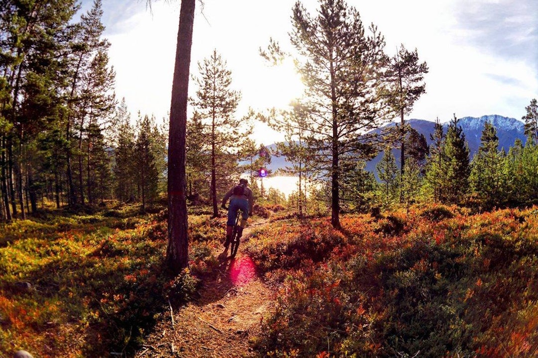 Foto: Hildegunn Gjertrud Hovdenak Kjetil Isaksen morgensol - Fall 2016 - Foto Hildegunn Gjertrud Hovdenak 1400x933