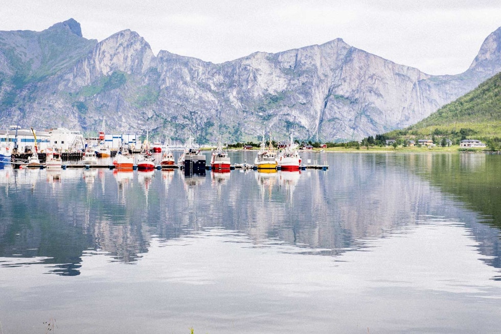 FISKETUR: I Senjahopen ligger fiskebåtene på rekke og rad. I Bakgrunnen ruver en knivskarp og nesten ti kilometer lang fjellrygg. FISKETUR: I Senjahopen ligger fiskebåtene på rekke og rad. I Bakgrunnen ruver en knivskarp og nesten ti kilometer lang fjellrygg.