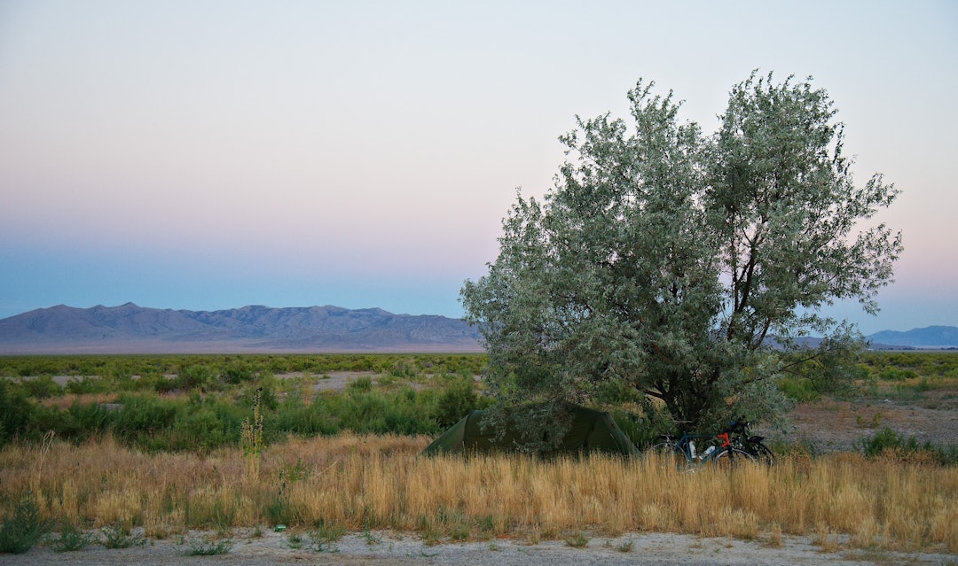 Vi fant skygge i Nevada Vi fant skygge i Nevada