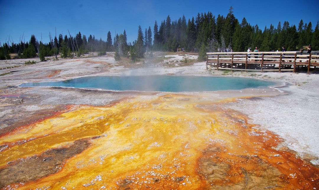 West Thumb i Yellowstone West Thumb i Yellowstone