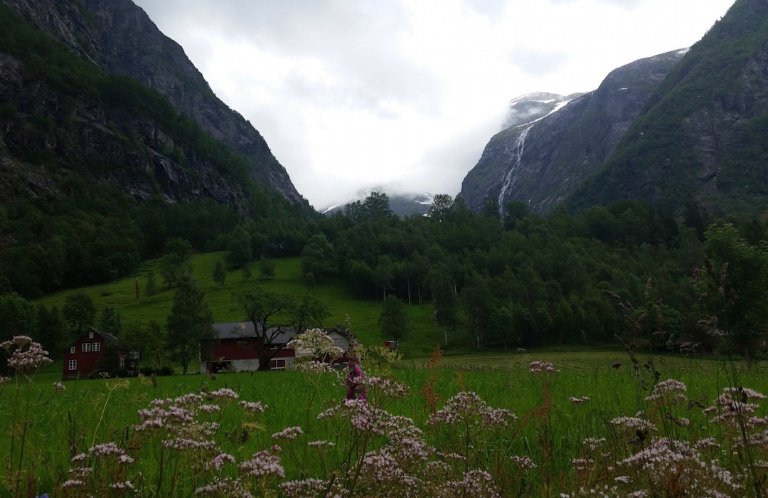 Det var lettere å suge til seg inntrykkene på veg ned fra dagens etappe. Foto: Kent Murdoch Scenery Osafjell - Kent 1400x908