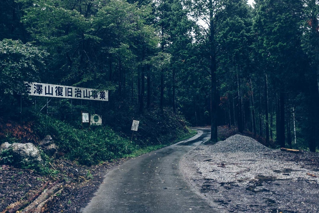 Rindo: Små skogsveier som fører deg lenger og lenger inn i den mørke skogen og det ukjente Japan med skogsåndene som reiseleder. Rindo: Små skogsveier som fører deg lenger og lenger inn i den mørke skogen og det ukjente Japan med skogsåndene som reiseleder.