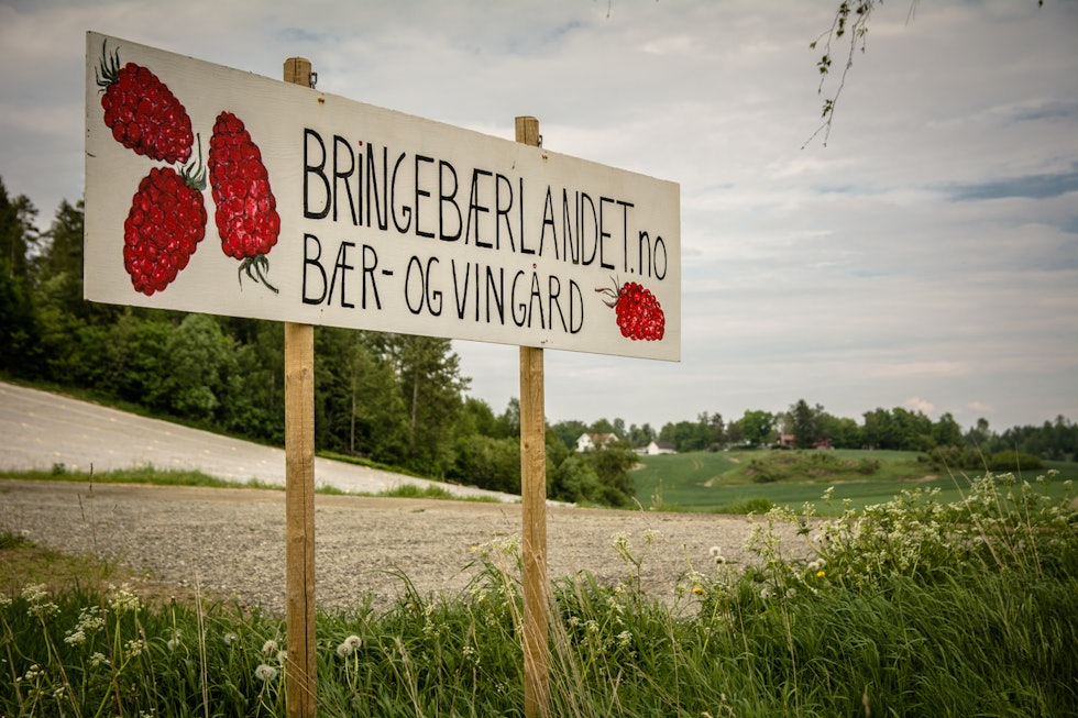 BÆR: Bare noen få kilometer fra Drøbak finner du "Bringebærlandet", en liten gård der de produserer både bær, honning og vin. Foto: Marcus Liebold. Follo-42