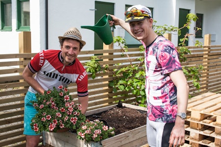FARGERIKT: Ingen er så glade i petuniaquiz som oss! Foto: Christian Nerdrum.  FARGERIKT: Ingen er så glade i petuniaquiz som oss! Foto: Christian Nerdrum.
