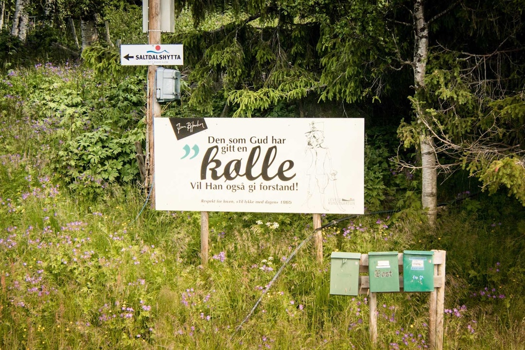STIVERT: Landlig poesi på vei opp til Fanitullvegen. STIVERT: Landlig poesi på vei opp til Fanitullvegen.