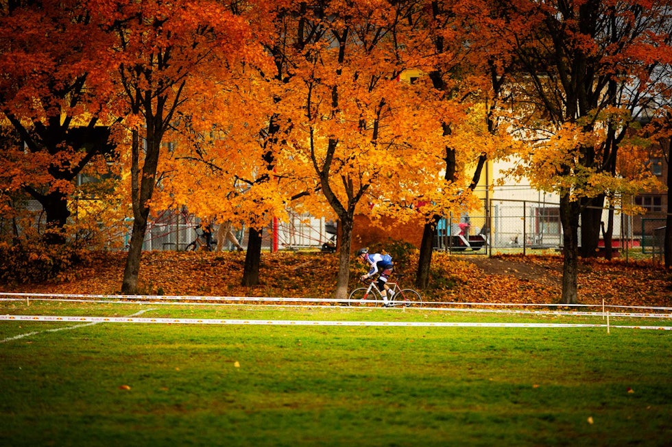 _MG_3396 _MG_3396