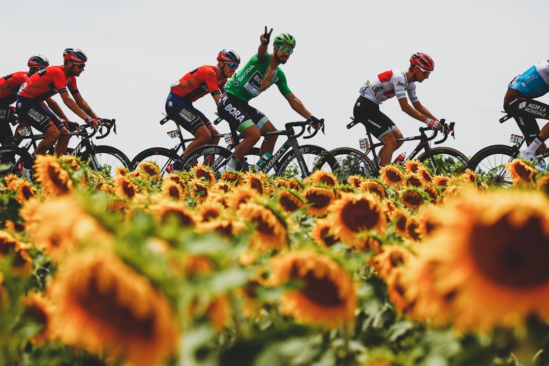 TIL TOUREN: Peter Sagan har planer om å sette fyr på Tour de France-feltet i år også. Foto: Cor Vos. Peter sagan tour de france