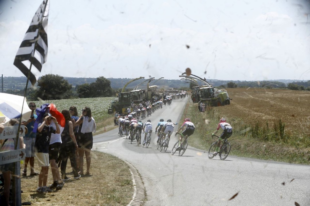 CORVOS_00029795-033 CORVOS_00029795-033