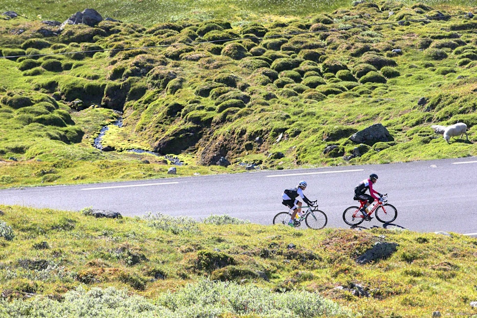 TO AV TRE: Fredrik Lorentzen Henne og Erno Kainulainen var to av de tre som delte seieren. Eivind Olsen var den siste. Foto: Ola Morken Fredrik Lorentzen Henne - Erno Kainulainen - Jotunheimen Rundt 2018 - Ola Morken 1400x933
