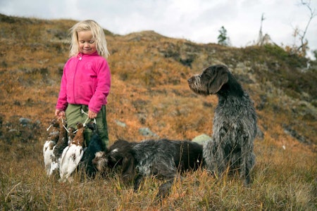 Fornøyd trio: Karen poserer stolt med dagens fangst sammen med Tyri og Vindja. Ingenting er mer naturlig for trioen enn  å glede seg over gavene som jakthøsten gir. Foto: Olav Thøger Haaverstad Jakt med barn
