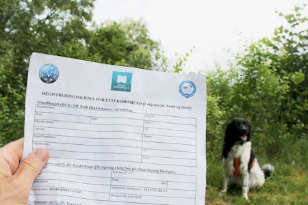 Helhet: Når ettersøksdommeren avgir dom etter prøven, husk at det er et øyeblikksbilde av både hunden og deg. Prøve for godkjent ettersøkshund