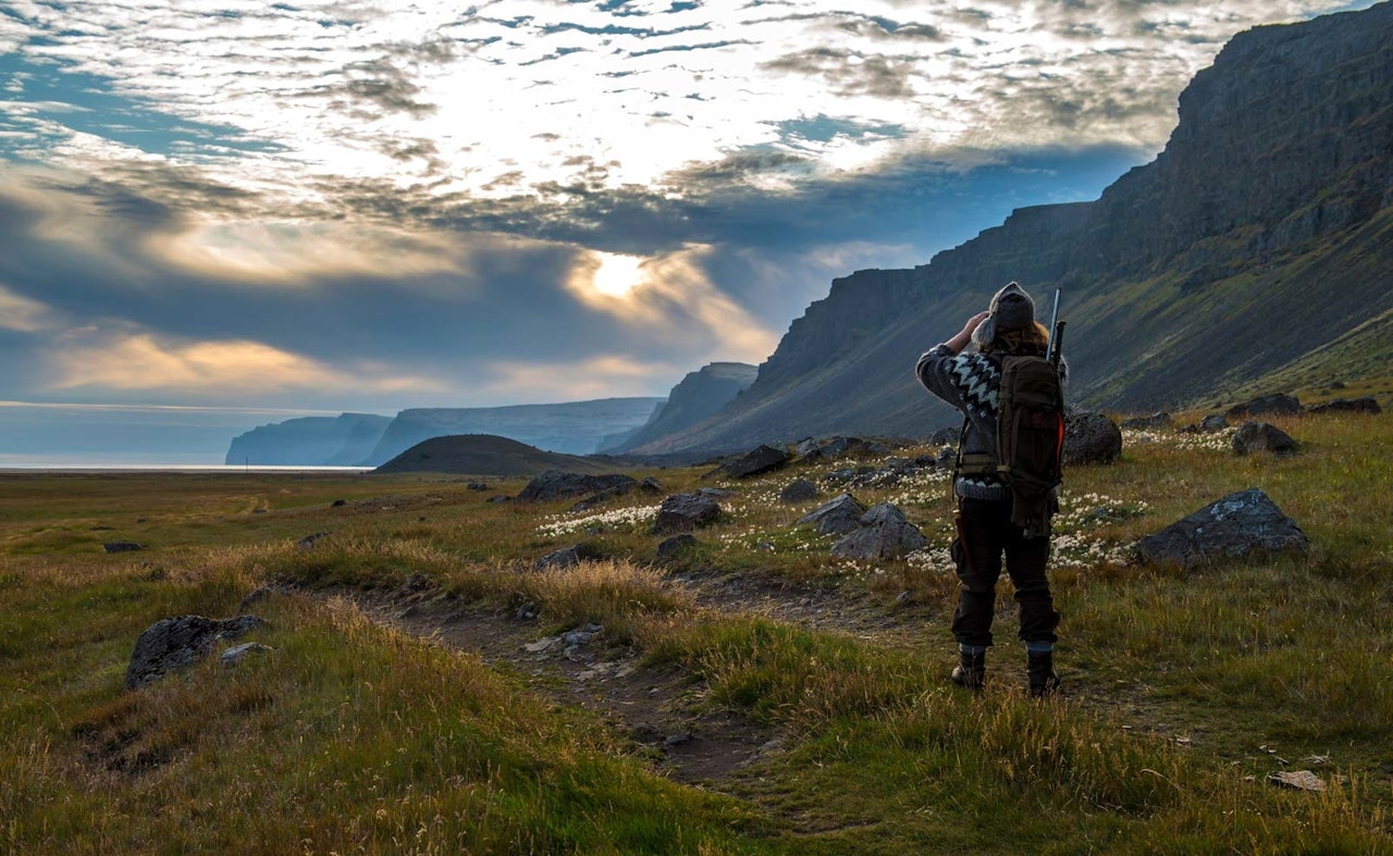 Åpne landskap: På den smale kransen av sandsletter mellom fjellklippene og havet, jakter Gunnar på fjellreven. jakte fjellrev, jaktreise Island
