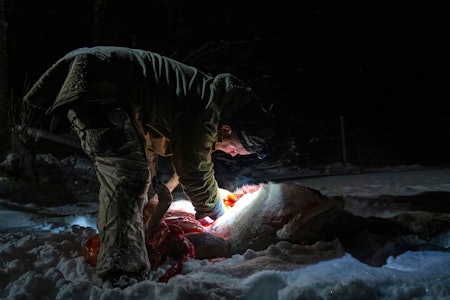Lysere tider: Når jakta har vært vellykket, er det lov å tenne et lys i mørket. Men når kan du slå det på? (Ill.foto: Jo Stenersen) Lysere tider: Når jakta har vært vellykket, er det lov å tenne et lys i mørket. Men når kan du slå det på? (Ill.foto: Jo Stenersen)