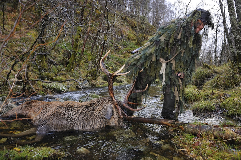 Kurt Oddekalv på jakt med hjort