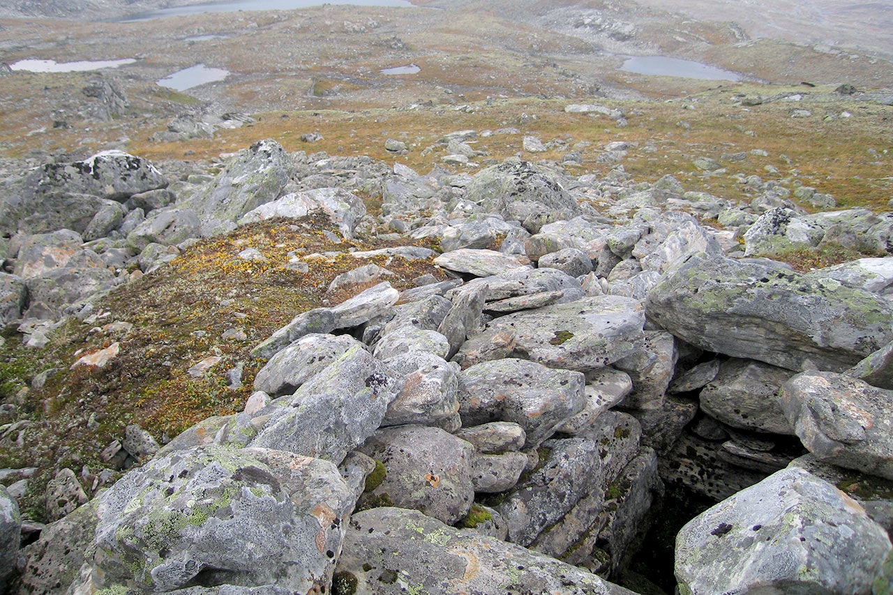 villrein rein reinsjakt fangstgrav foto Åsgeir Størdal