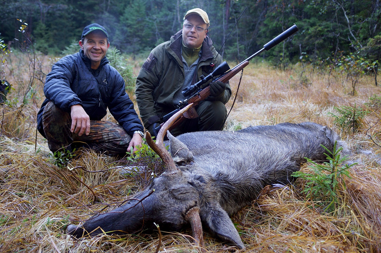 Statskog legger ut dasgkort på elgjakt, nå når jaktlagenes ordinære jaktperiode er slutt. Ill.foto: Åsgeir Størdal elg elgjakt statskog