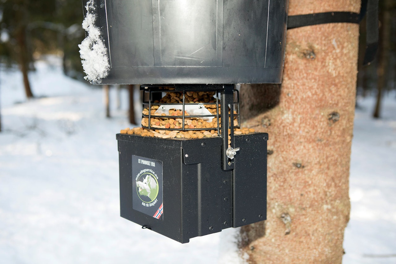 Gitter og stas: Gitteret på MTM Komplett fôrautomat sørger for at fugler og mindre dyr ikke kommer seg inn i åpningen, noe som fungerte godt i vår test. Maten skal spises på bakken! MTM Komplett fôrautomat montert på en trestamme.