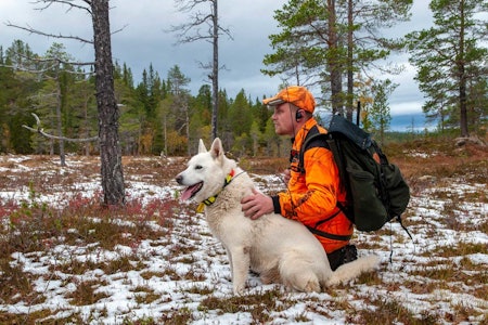 Venter på oksen: Jaktleder Lars Gunnar Storli med den hvite elghunden Biff.