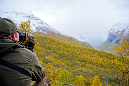 Kikring ved Kvitegga: «Kikring» etter hjort under Kvitegga. Jeg syntes det er bratt, men her sparker vist sunnmøringer fotball? Kikring ved Kvitegga: «Kikring» etter hjort under Kvitegga. Jeg syntes det er bratt, men her sparker vist sunnmøringer fotball?