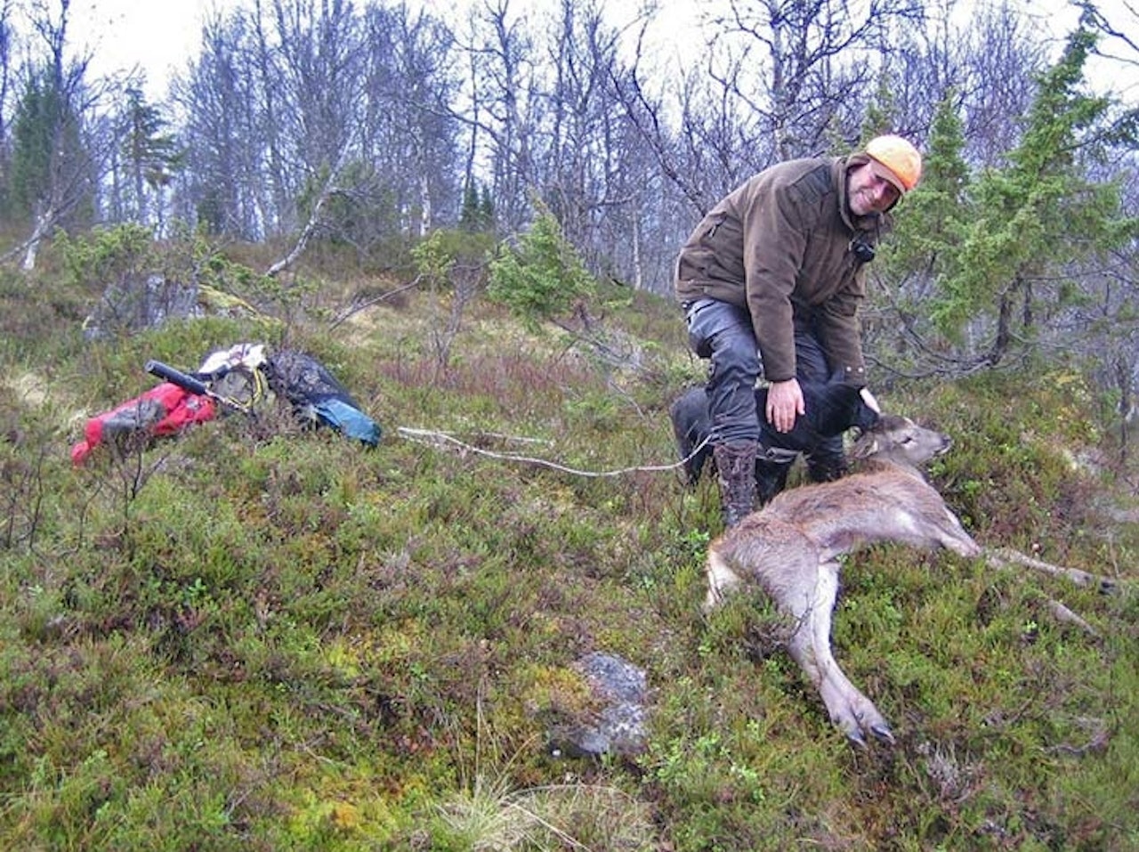 Kommunene Kvinnherad, Aurland og gamle Flora fortsetter med fri avskyting av hjortekalv denne høsten. På bildet vises en hjortejakt der Helge Nilsen (avbildet) jaktet sammen med prosjektleder for fri FriKalv-prosjektet Vebjørn Veiberg i NINA.  Foto: Vebjørn Veiberg, NINA hjortejakt, kalvejakt, jakte hjortekalv, fri avskyting, NINA