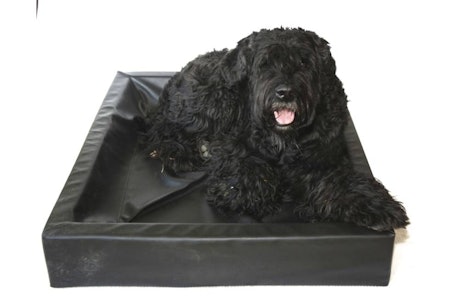 Komfortabel: BIA hundeseng byr på en høy grad av komfort for den firbente kameraten. Komfortabel: BIA hundeseng byr på en høy grad av komfort for den firbente kameraten.