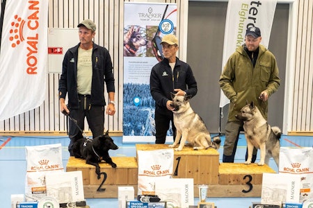 På pallen: 3. plassen gikk til Tor Ivar Hovhaugholen og Lillaryds Ask. 
På 2. plass kom Kristian Fidje med Jegerlivets Ailo, mens 1. plassen gikk til Kjell Inge Løvlund og Bergulvsetras Luna På pallen: 3. plassen gikk til Tor Ivar Hovhaugholen og Lillaryds Ask. 
På 2. plass kom Kristian Fidje med Jegerlivets Ailo, mens 1. plassen gikk til Kjell Inge Løvlund og Bergulvsetras Luna