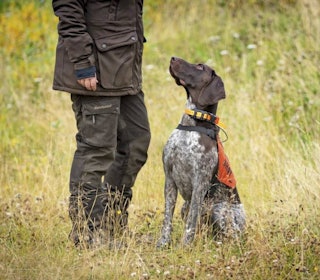 JAKTBUKSE: Vi kårer best i test blant jaktbukser, gore-tex bukser, skallbukser, vadmelsbukser og hybridbukser. Jakthund og jeger med jaktbukse