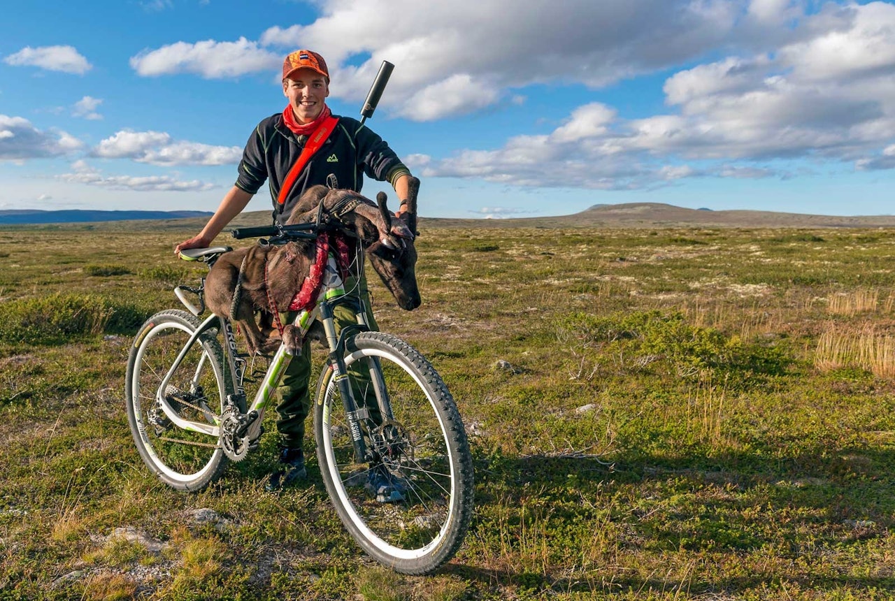 Villreinjakt med sykkeltransport er ikke et vanlig syn. villreinjakt, sykkel, uttransportering