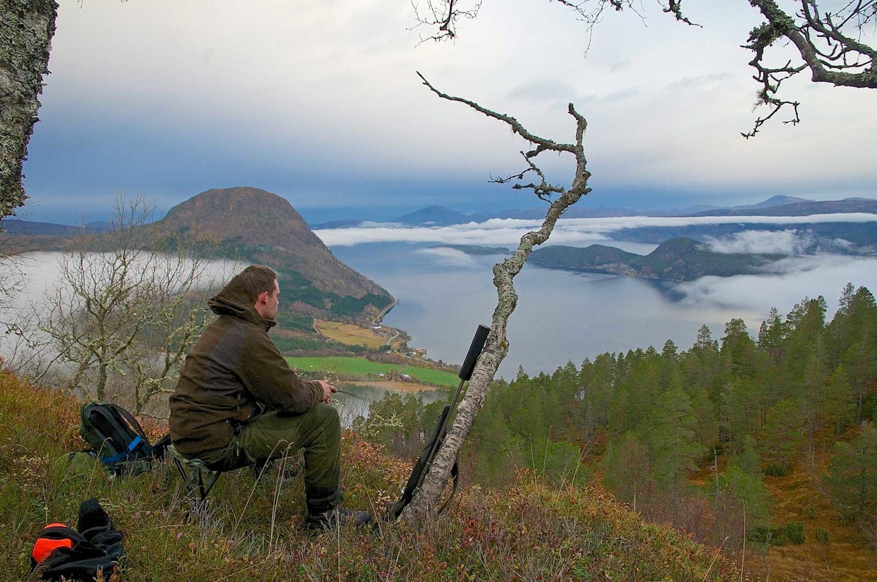 Flott utsikt: Med GPS parat i hånda har Christopher Duus kontroll på hundene. Det er bare å nyte utsikten og vente. Flott utsikt: Med GPS parat i hånda har Christopher Duus kontroll på hundene. Det er bare å nyte utsikten og vente.