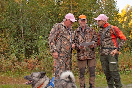 Startklar: DL-Messi venter utålmodig på slipp, mens eier Torgeir Nordlien (t.v), kjentmann Sigvart Totland og den svenske dommeren Emil Engberg drøfter kart og strategi. (Foto: Nils Vidar Bratlandsmo) Startklar: DL-Messi venter utålmodig på slipp, mens eier Torgeir Nordlien (t.v), kjentmann Sigvart Totland og den svenske dommeren Emil Engberg drøfter kart og strategi. (Foto: Nils Vidar Bratlandsmo)