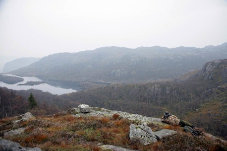 ELG PÅ VEI: Thomas gjennomsøker dalen under oss. To minutter senere kommer melding om at elgene er på vei mot oss. Elgjakt , rådyrjakt,