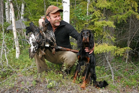 jakt med gammel hund, fuglejakt, eldre setter