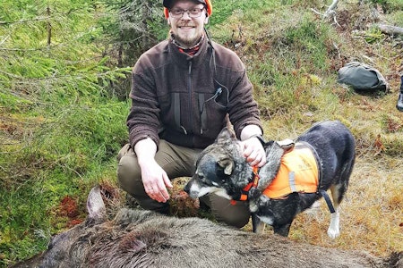 Fungerte fint nok: Ingen tvil om at en brukt CZ550 i kaliber 30-06 gjorde susen da Yngve Falkenberg-Arell møtte elgkua. Foto: Privat Elgjakt brukt våpen Yngve Falkenberg-Arell
