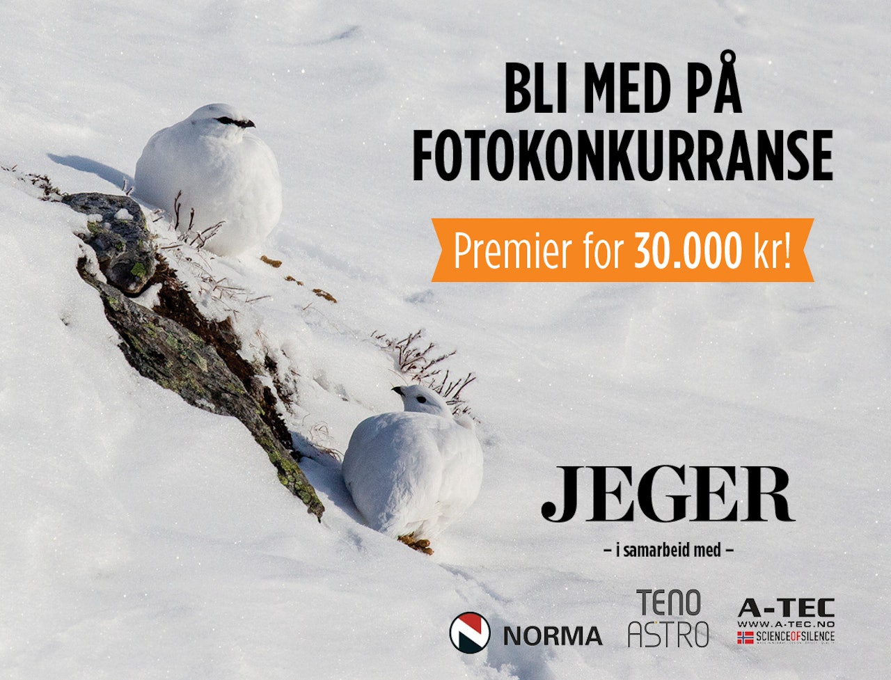 Bilde av fjellryper i vinterdrakt til JEGERs fotokonkurranse Foto: Åsgeir Størdal