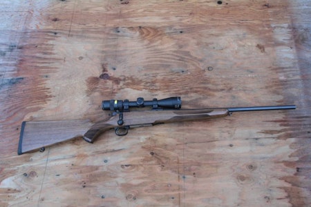 Mauser M12 Basic billig rifle test