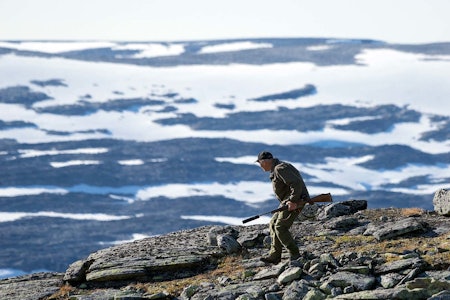 HØYT TIL FJELLS: Nesten på toppen av Norges tak fikk Gudmund sin gjeldsimle. HØYT TIL FJELLS: Nesten på toppen av Norges tak fikk Gudmund sin gjeldsimle.