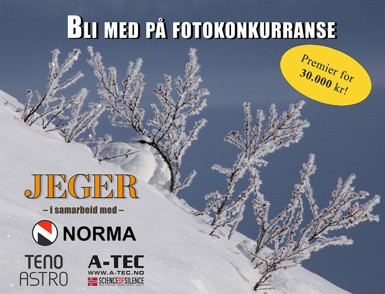 Bli med på JEGERs store fotokonkurranse og vinn ei Bergara-rifle! (Foto: Åsgeir Størdal)